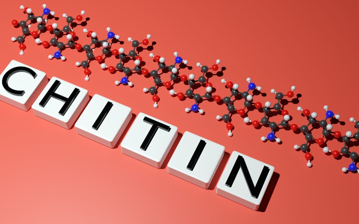 Chitosan: beneficii și recomandări