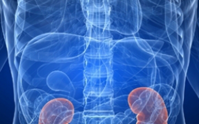 Abcesul renal- simptome, diagnostic, tratament