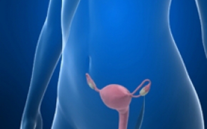 Vaginism- simptome, diagnostic, tratament