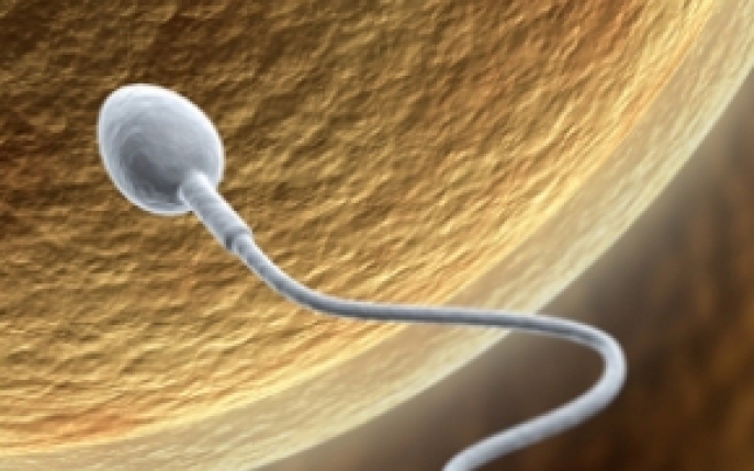 Sex fara sarcina - Metodele contraceptive de care trebuie sa te feresti