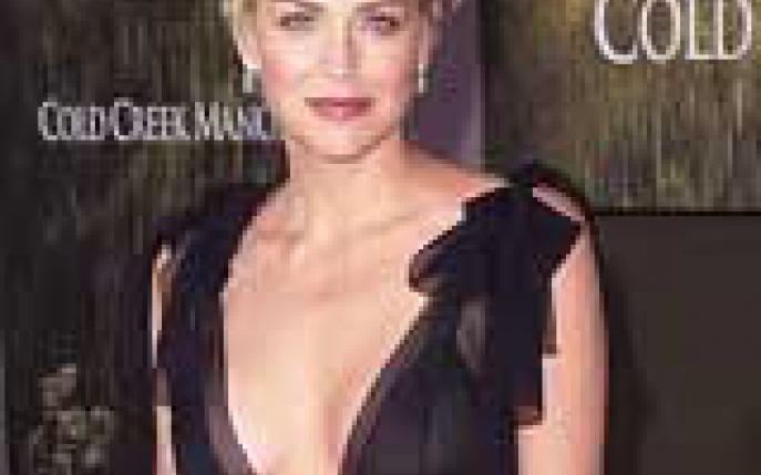 Stilul Sharon Stone