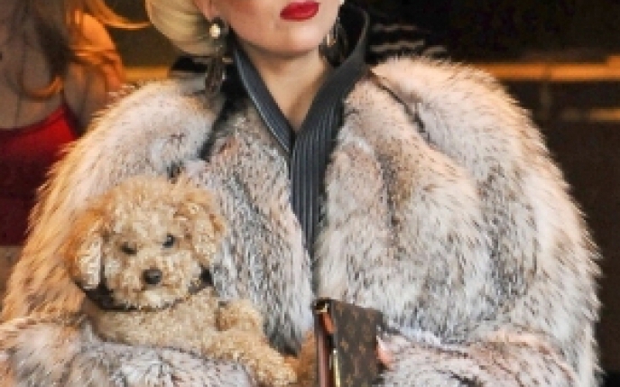 Lady Gaga a dat peste 229.000 $ pentru haine din blana naturala
