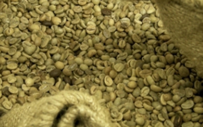 Green Coffee Bean Max, produsul minune pentru silueta