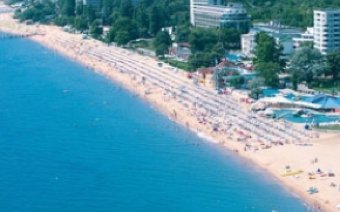 Vacante de vis la preturi mici!
