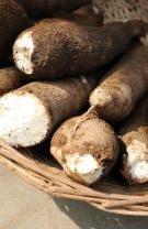 9. Manioc (având şi denumirea de cassava sau tapioc)
