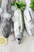 Morun atlantic (gadus morhua sau cod)