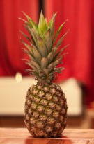 Ananas