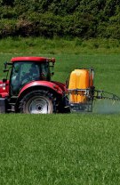 Există soluții și capcane pentru eliminarea acestor insecte