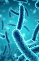 Virusuri și bacterii