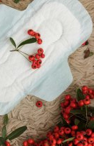 Tulburări ale ciclului menstrual