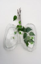 Te îmbolnăvești des de pneumonie sau bronșită