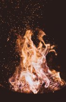 Foc