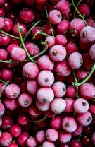 Fructe sau legume