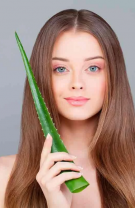 Ulei de cocos și aloe vera pentru vergeturi