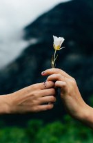 Gemenii devin romantici