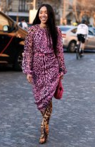 Îmbrăcămintea cu print leopard