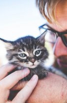 Sau au grijă de animalele abandonate