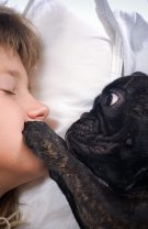 Folosește animalul de companie ca ”alarmă” de trezire