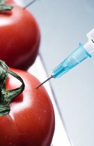 Alimentele modificate genetic