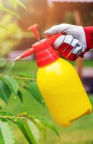 Nu cumpărați fructe și legume care au fost stropite cu insecticide 