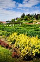 Un colț din Toscana în România