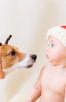 Interzici contactul cu animale