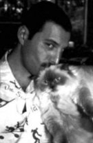 Preferata lui Freddie Mercury