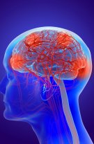 Îmbunătățirea activității cerebrale