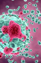 Poate preveni cancerul