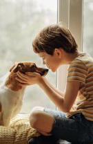 Animal de companie