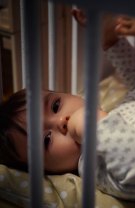 Sugarii nu dorm pe o perioadă lungă de timp