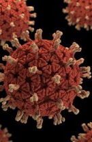 1. Un sutien nespălat poate fi un mediu propice pentru dezvoltarea bacteriilor