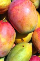11. Maturitatea unui mango nu este întotdeauna trădată de culoarea pe care o are
