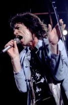 Mick Jagger a continuat să cânte, deși concertul a fost oprit