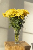 8. Crizantema