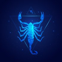 Scorpion