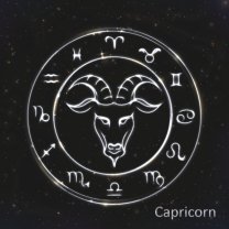 Capricorn ♑️