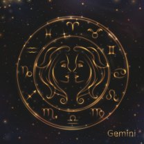 Gemeni ♊️