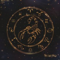 Scorpion ♏️