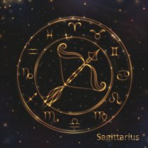 Săgetător ♐️