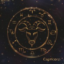 Capricorn ♑️