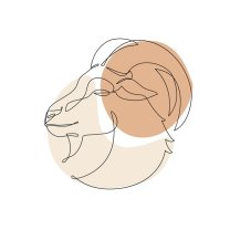 Capricorn ♑️