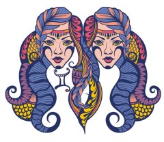 Gemeni ♊️
