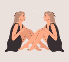 Gemeni ♊️