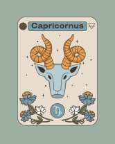 Capricorn ♑️