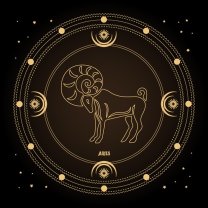 Berbec ♈️