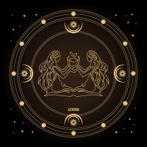 Gemeni ♊️