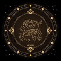 Capricorn ♑️