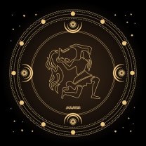 Vărsător ♒️