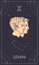 Gemeni ♊️